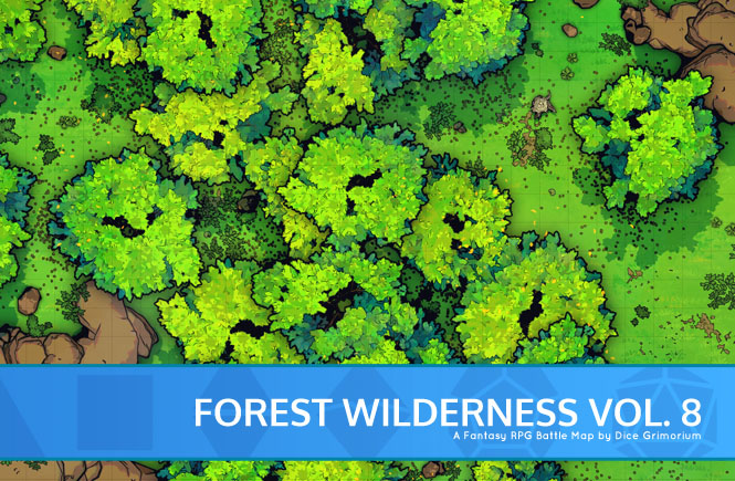Forest Wilderness Vol.8 D&D Battle Map Banner